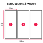 Set de 3 panouri decorative carbon SS025